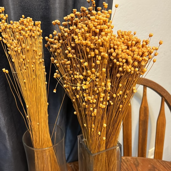 NWT Botanical blends home decor 7 bundles of American Oak Preserving Company - Picture 4 of 7